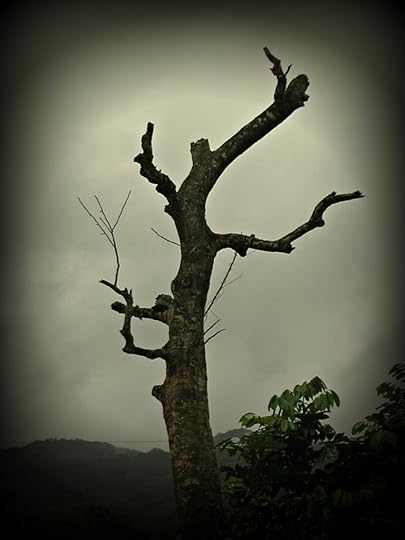 Mystery & Lighting Effects