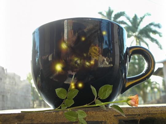 Warmth & the Quality of Light - Morning