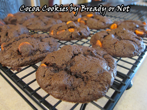 Cocoa Cookies