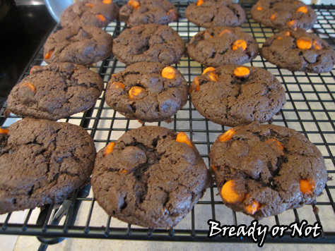 Cocoa Cookies