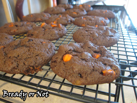 Cocoa Cookies