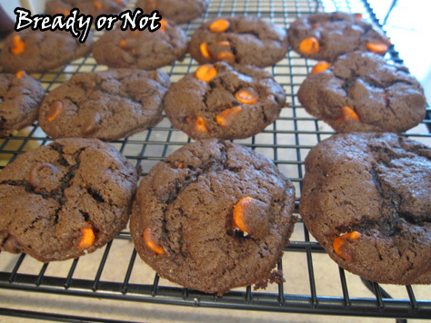 Cocoa Cookies