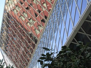 Building caught in glass