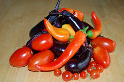 Early Autumn Produce, 2015 