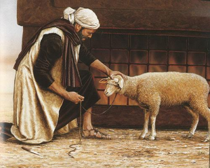 Lamb sacrifice