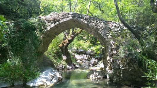 Bridge16