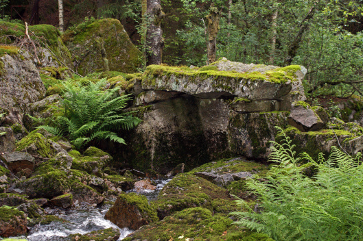 Bridge