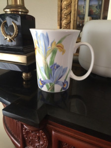 Iris cup