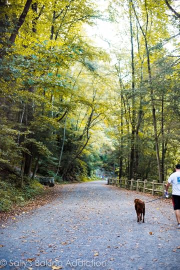 September in Photos | Sally's Baking Addiction