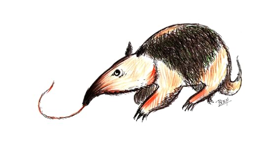 Anteater01