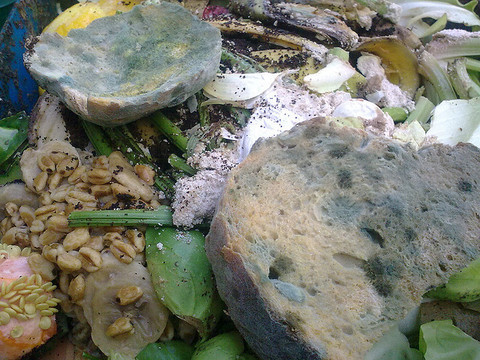 Photo: Lick the plate: The ecological and economic costs of food waste