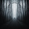 isolation