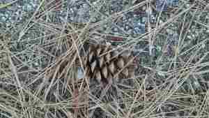 IMG_20151002_091017