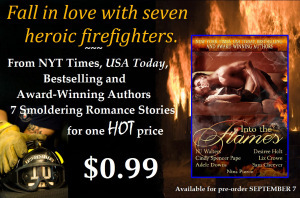 IntoFlames02_SalePromo