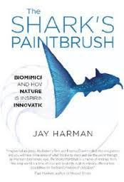 shark's paintbrush