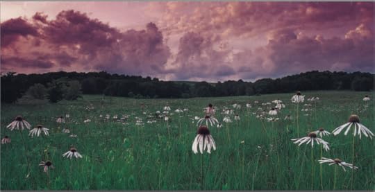 Landscape Quilt by Nancy Zieman