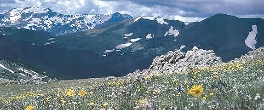 Nancy Zieman's Landscape Quilt