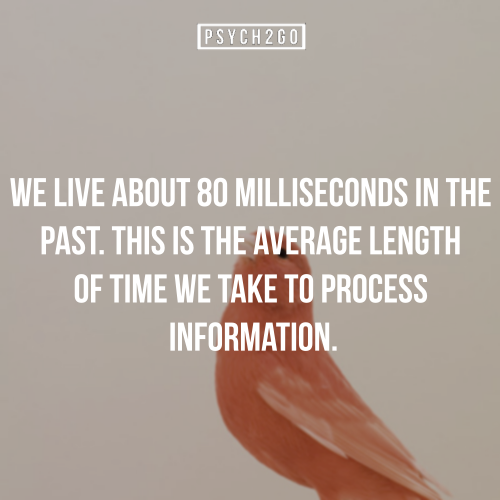 tumblr_nvon9sOwMu1sbub06o8_500