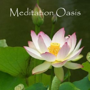 Meditation Oasis Album