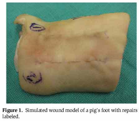 Pig-Foot-and-Music