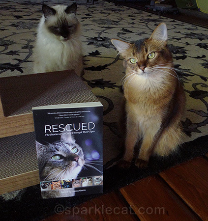 If you are a rescue kitty, you could be in the next volume!