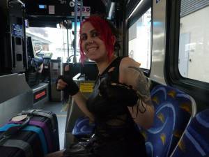 Cat on the bus