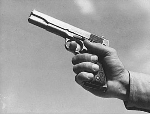 pistol