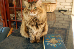 Kel Claims the Shepherd's Crown
