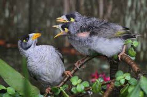 noise, conflict, anger