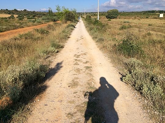 0137dff772c565763ce5c20388ac603de14957b03c