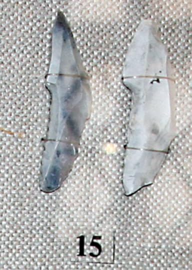 Figure 4. 'Shouldered points' or “tanged points” very typical of the Kostenki toolkit. (http://www.donsmaps.com/images24/gagkostpoints.jpg).