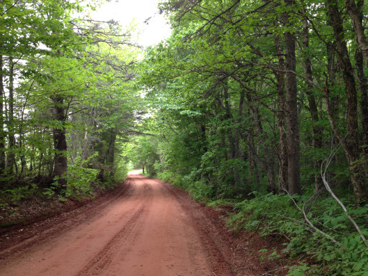 The bend in the road
