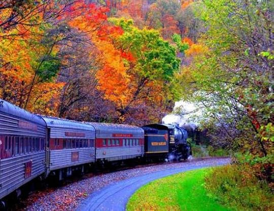 train fall leaves