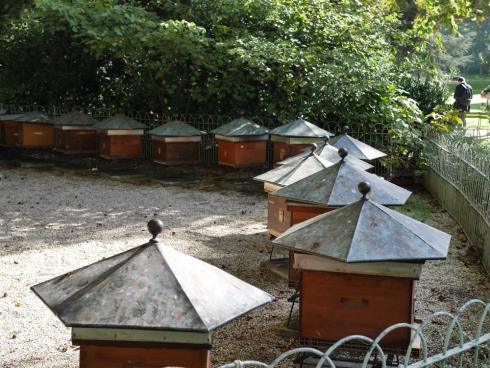 paris-beehives