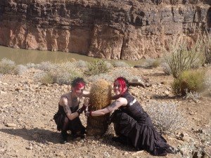 Papillon Grand Canyon tour
