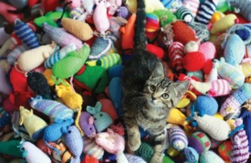 knitting-kittens