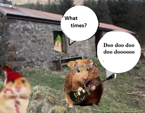 zmed-bbbbbbbubb290909