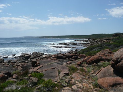 P1020519