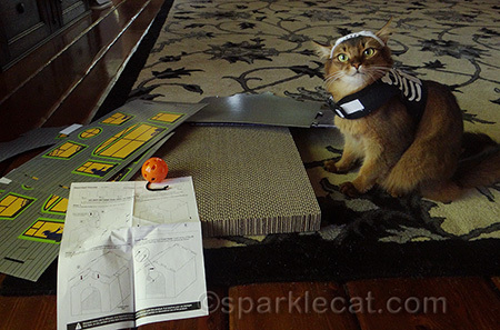 Instructions and my human don't get along!