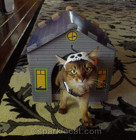 I am haunting my haunted house