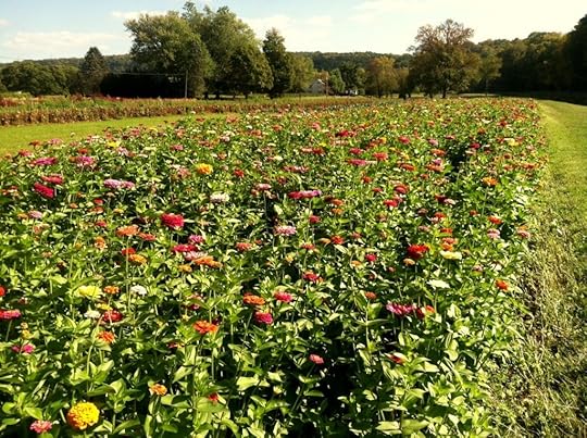 photo (11)