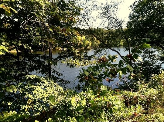photo (15)