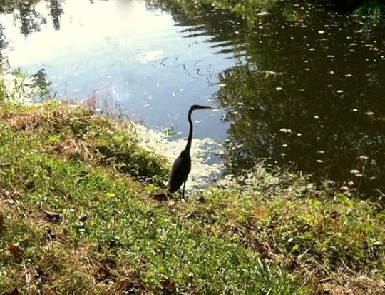 photo (13)