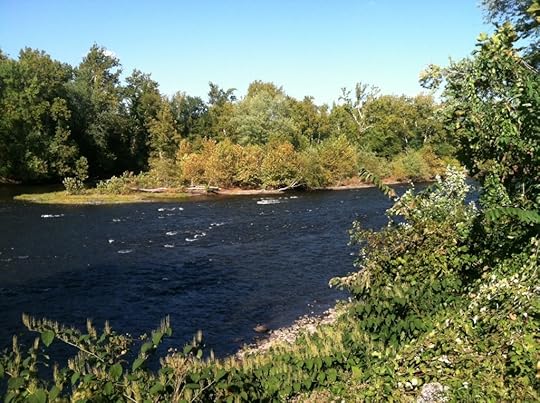 photo (9)