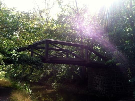 photo (5)
