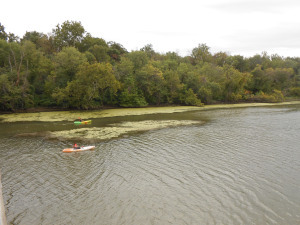 Theodore Roosevelt Island surrounded by the Potomac River