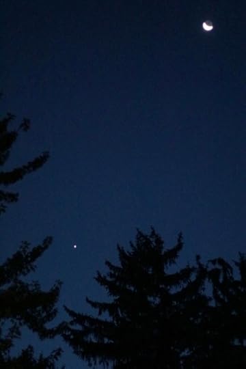 The Moon and Venus from the back yard of Chateau Steelypips