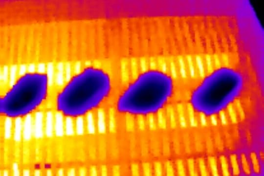 Thermal camera image of pork chops on the grill.