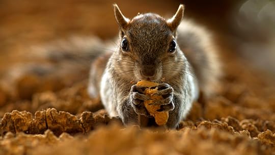 Photograph Hola by Osvaldo Sánchez Sánchez on 500px