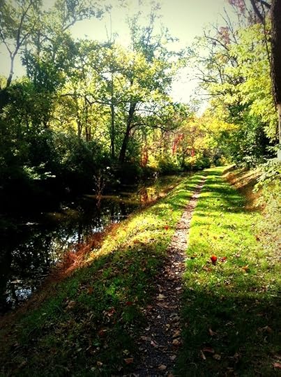 photo (10)